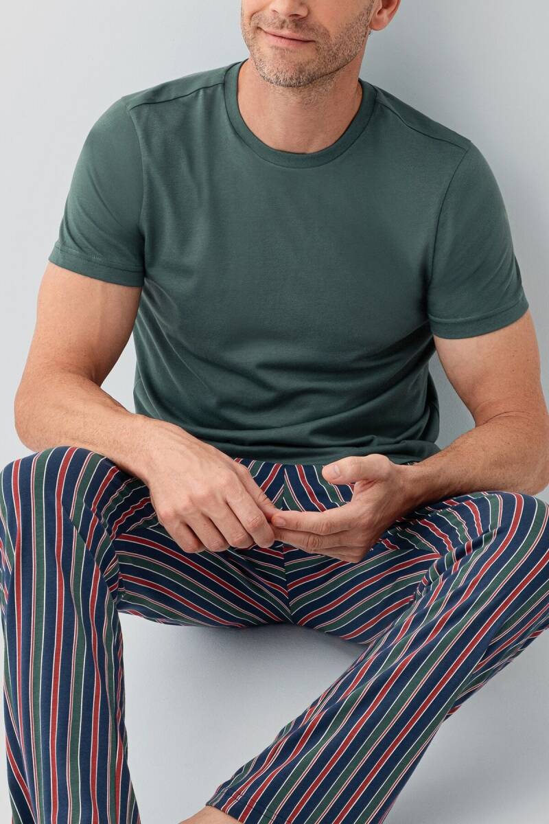 Arnetta Erkek %100 Pamuk Bisiklet Yaka Baskısız Yazlık Regular Fit Yeşil Pijama Takımı AR3680-S-V1 - 3