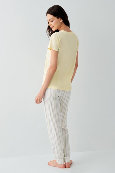 Arnetta Kadın %100 Pamuk Bisiklet Yaka Baskılı Yazlık Regular Fit Sarı Pijama Takımı AR3571-S-V2 - 4