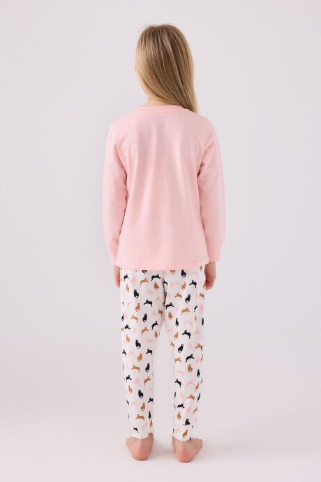Arnetta Kız Çocuk Bisiklet Yaka Pigment Baskılı Kışlık Regular Fit Pembe Pijama Takımı AR3057-C-V1 - 5