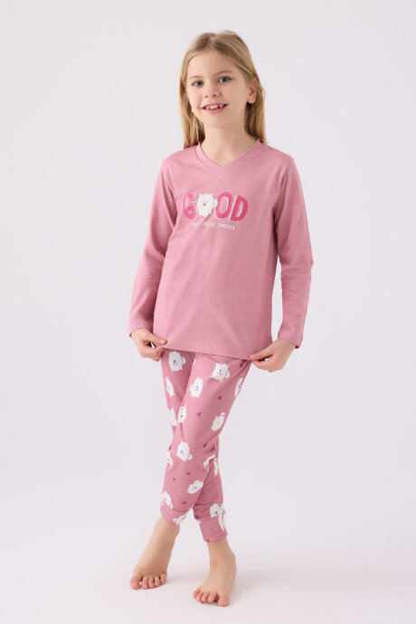 Arnetta Kız Çocuk Pamuklu Bisiklet Yaka Pigment Baskılı Kışlık Regular Fit Pembe Pijama Takımı AR3088-C-V1
