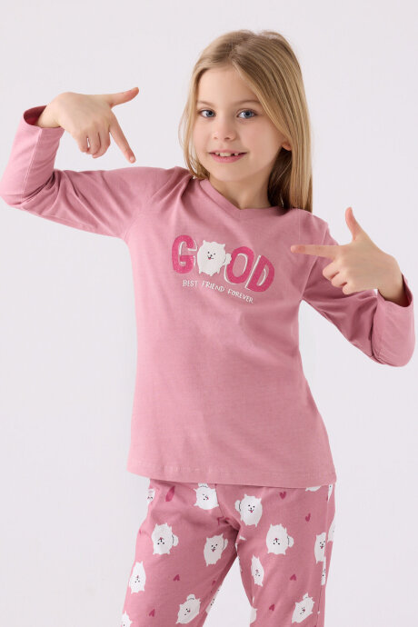Arnetta Kız Çocuk Pamuklu Bisiklet Yaka Pigment Baskılı Kışlık Regular Fit Pembe Pijama Takımı AR3088-C-V1 (1)
