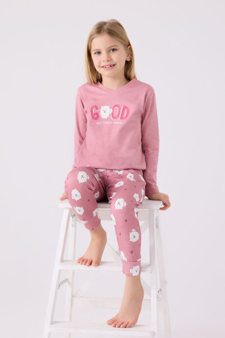 Arnetta Kız Çocuk Pamuklu Bisiklet Yaka Pigment Baskılı Kışlık Regular Fit Pembe Pijama Takımı AR3088-C-V1 - 3
