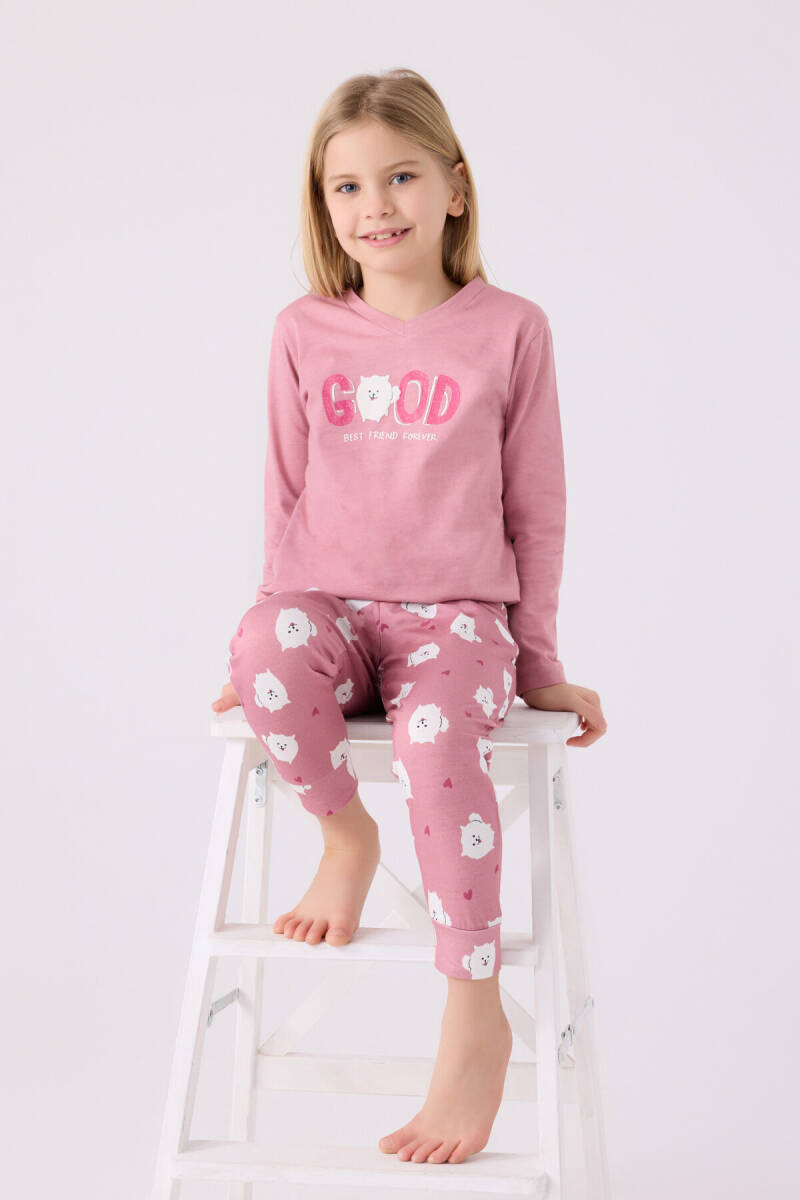 Arnetta Kız Çocuk Pamuklu Bisiklet Yaka Pigment Baskılı Kışlık Regular Fit Pembe Pijama Takımı AR3088-C-V1 - 3