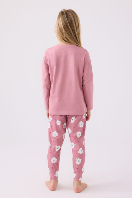 Arnetta Kız Çocuk Pamuklu Bisiklet Yaka Pigment Baskılı Kışlık Regular Fit Pembe Pijama Takımı AR3088-C-V1 - 5