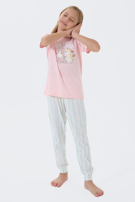 Arnetta Kız Çocuk Bisiklet Yaka Baskılı Yazlık Regular Fit Pembe Pijama Takımı AR3571-C-V1