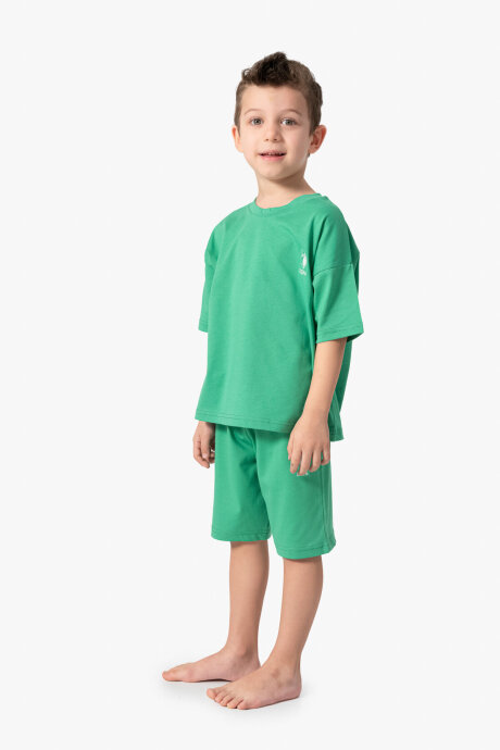 U.S. Polo Assn. Erkek Çocuk Bisiklet Yaka Sargı Nakışlı Yazlık Regular Fit Yeşil Bermuda Takım US1779-C-V40 - 3
