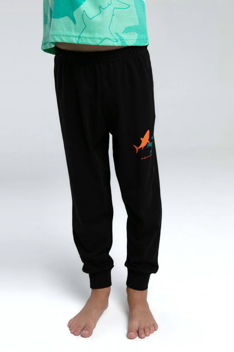 Rolypoly Erkek Çocuk Bisiklet Yaka Pigment Baskılı Yazlık Regular Fit Yeşil Pijama Takımı RP3553-C-V1 - 2