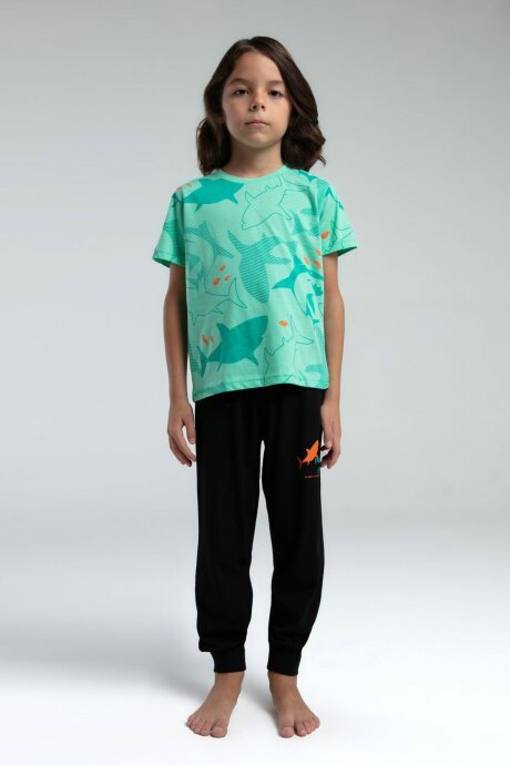 Rolypoly Erkek Çocuk Bisiklet Yaka Pigment Baskılı Yazlık Regular Fit Yeşil Pijama Takımı RP3553-C-V1 - 3
