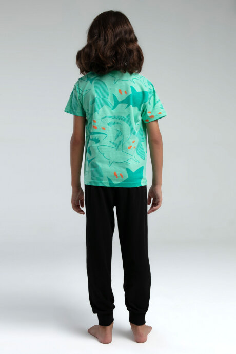 Rolypoly Erkek Çocuk Bisiklet Yaka Pigment Baskılı Yazlık Regular Fit Yeşil Pijama Takımı RP3553-C-V1 - 4