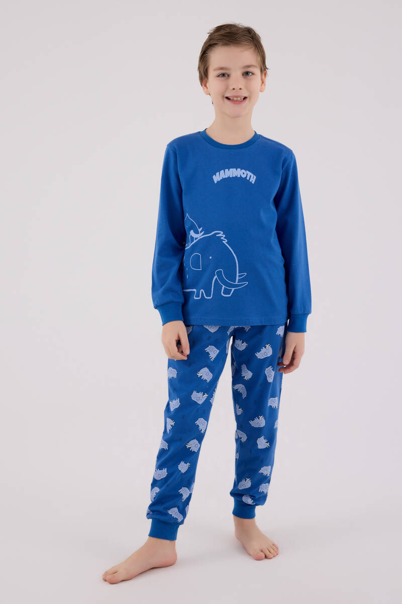 Rolypoly Erkek Çocuk Mavi Pijama Takımı