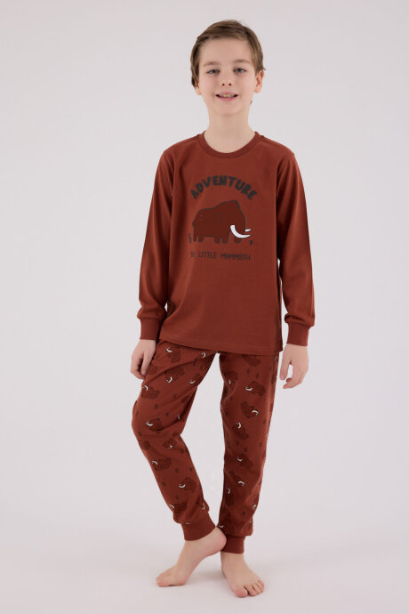 Rolypoly Erkek Çocuk Pamuklu Bisiklet Yaka Pigment Baskılı Kışlık Regular Fit Kahverengi Pijama Takımı RP3667-C-V1 - 2