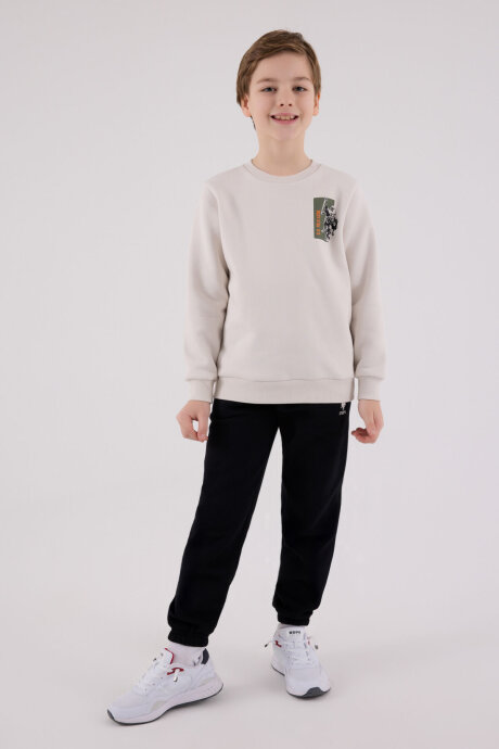 U.S. Polo Assn. Erkek Çocuk Pamuklu Bisiklet Yaka Pigment Baskılı Kışlık Regular Fit Gri Eşofman Takımı US2216-C-V2 - 3
