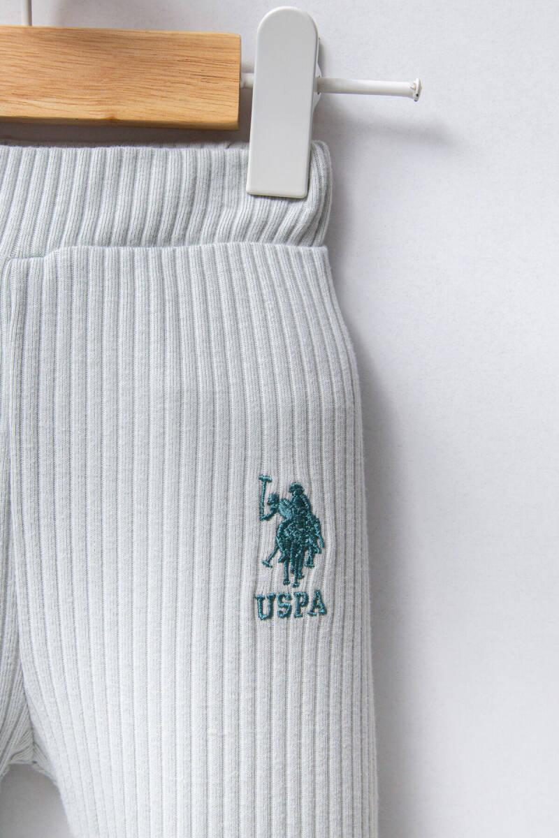 U.S. Polo Assn. Erkek Bebek Pamuklu Bisiklet Yaka Pigment Baskılı Yazlık Regular Fit Yeşil Bebek Takımı USB2311-C-V1 - 3