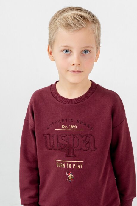 U.S. Polo Assn. Erkek Çocuk Nakışlı Mor Uzun Kol Eşofman Takımı US2629-C-V1 - 3