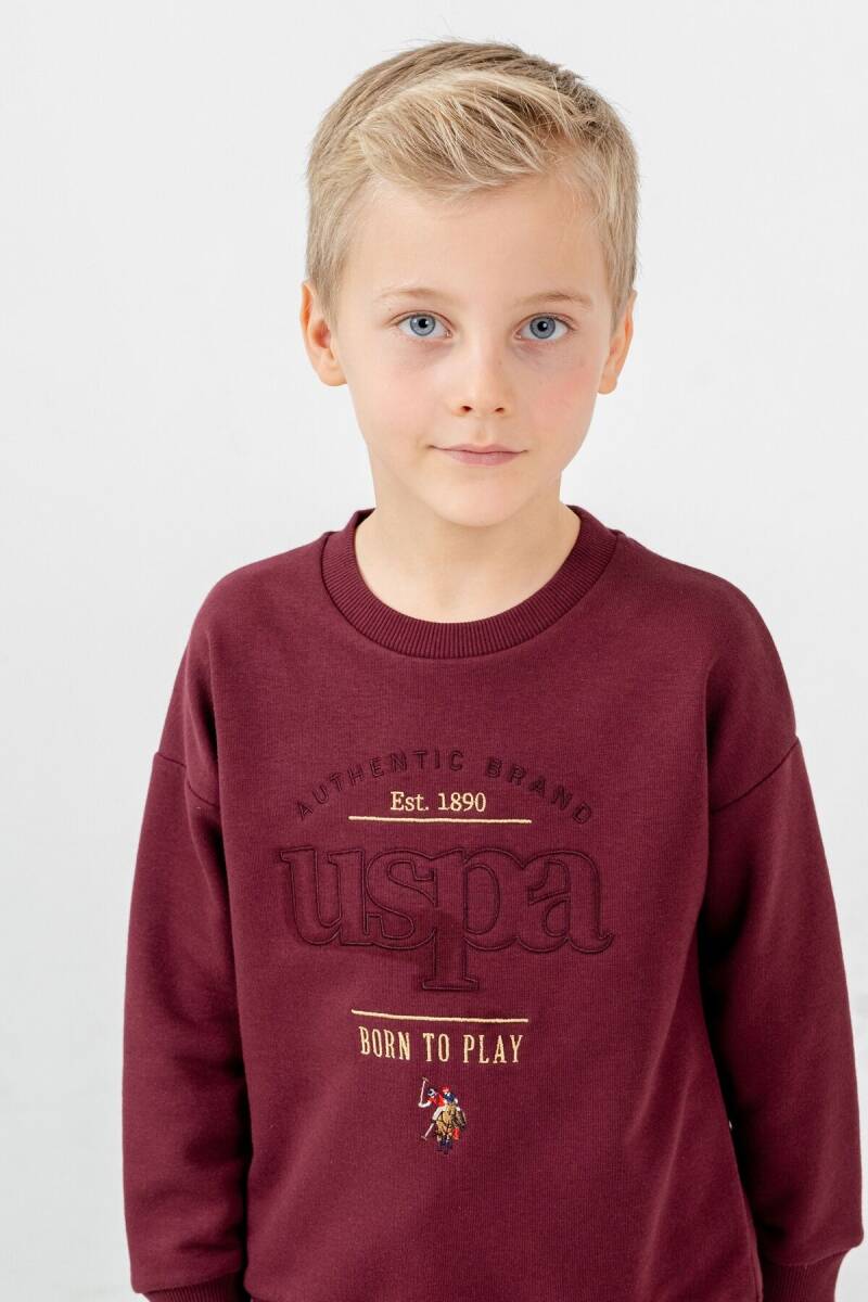 U.S. Polo Assn. Erkek Çocuk Nakışlı Mor Uzun Kol Eşofman Takımı US2629-C-V1 - 3