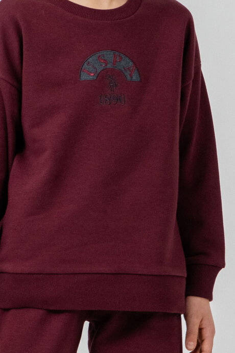 U.S. Polo Assn. Erkek Çocuk Nakışlı Mor Uzun Kol Eşofman Takımı US2631-C-V2 - 3