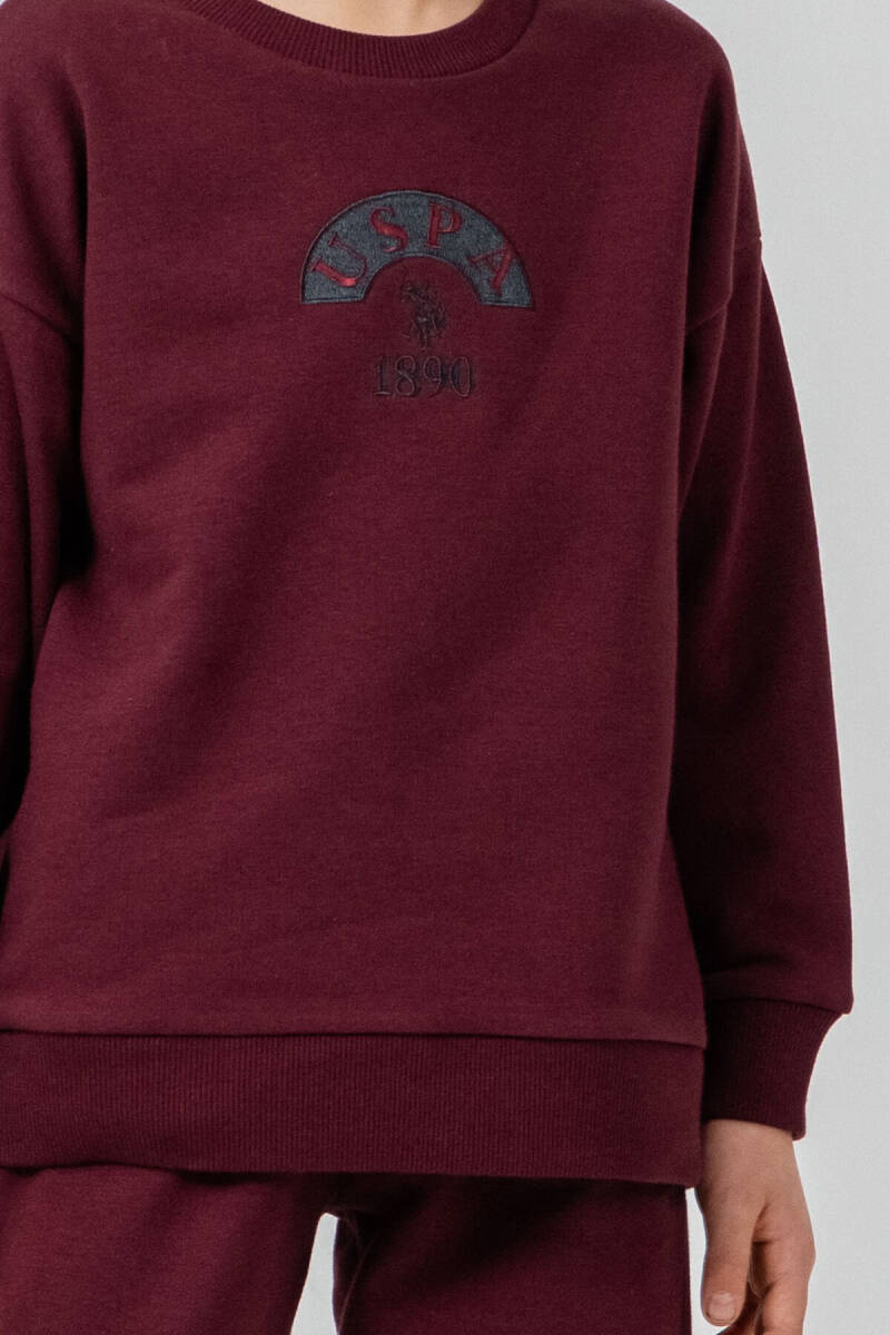 U.S. Polo Assn. Erkek Çocuk Nakışlı Mor Uzun Kol Eşofman Takımı US2631-C-V2 - 3