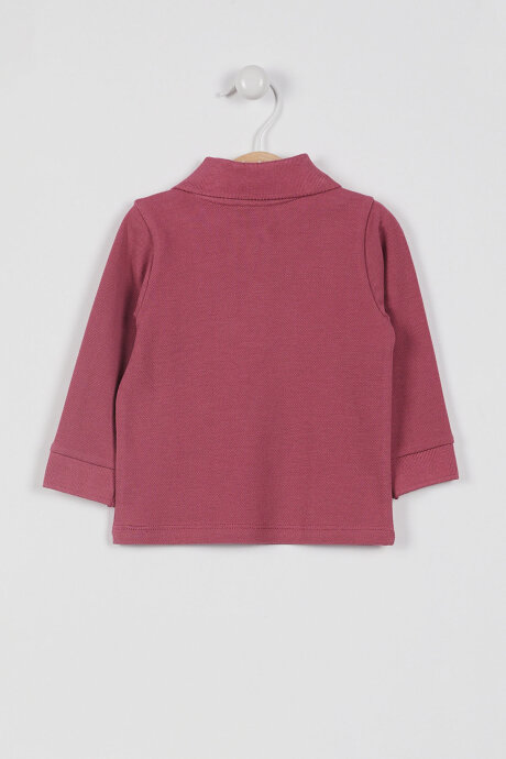U.S. Polo Assn. Kız Bebek Pamuklu Polo Yaka Baskısız Kışlık Regular Fit Bordo T-Shirt USB994-B-V5 - 2