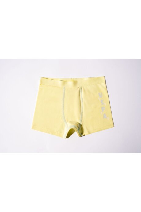 U.S. Polo Assn. Erkek Çocuk Pamuklu Kışlık Regular Fit Sarı Boxer US2242-C-V1 - 3