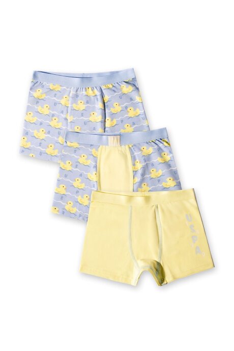 U.S. Polo Assn. Erkek Çocuk Pamuklu Kışlık Regular Fit Sarı Boxer US2242-C-V1