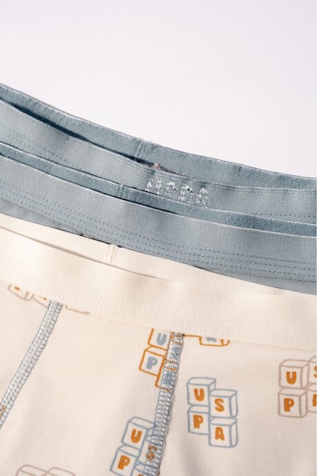 U.S. Polo Assn. Erkek Çocuk Pamuklu Kışlık Regular Fit Krem Boxer US2243-C-V1 - 6
