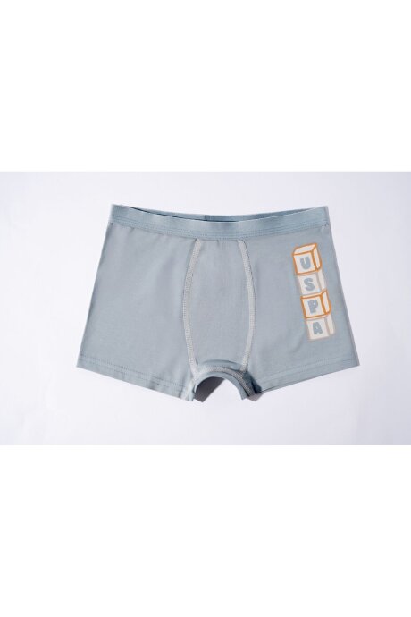 U.S. Polo Assn. Erkek Çocuk Pamuklu Kışlık Regular Fit Krem Boxer US2243-C-V1 - 3