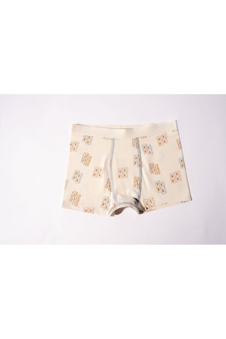 U.S. Polo Assn. Erkek Çocuk Pamuklu Kışlık Regular Fit Krem Boxer US2243-C-V1 - 4