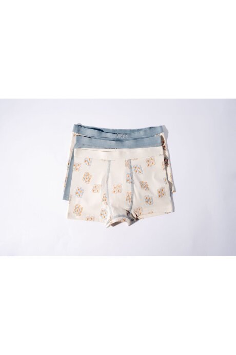 U.S. Polo Assn. Erkek Çocuk Pamuklu Kışlık Regular Fit Krem Boxer US2243-C-V1 - 5
