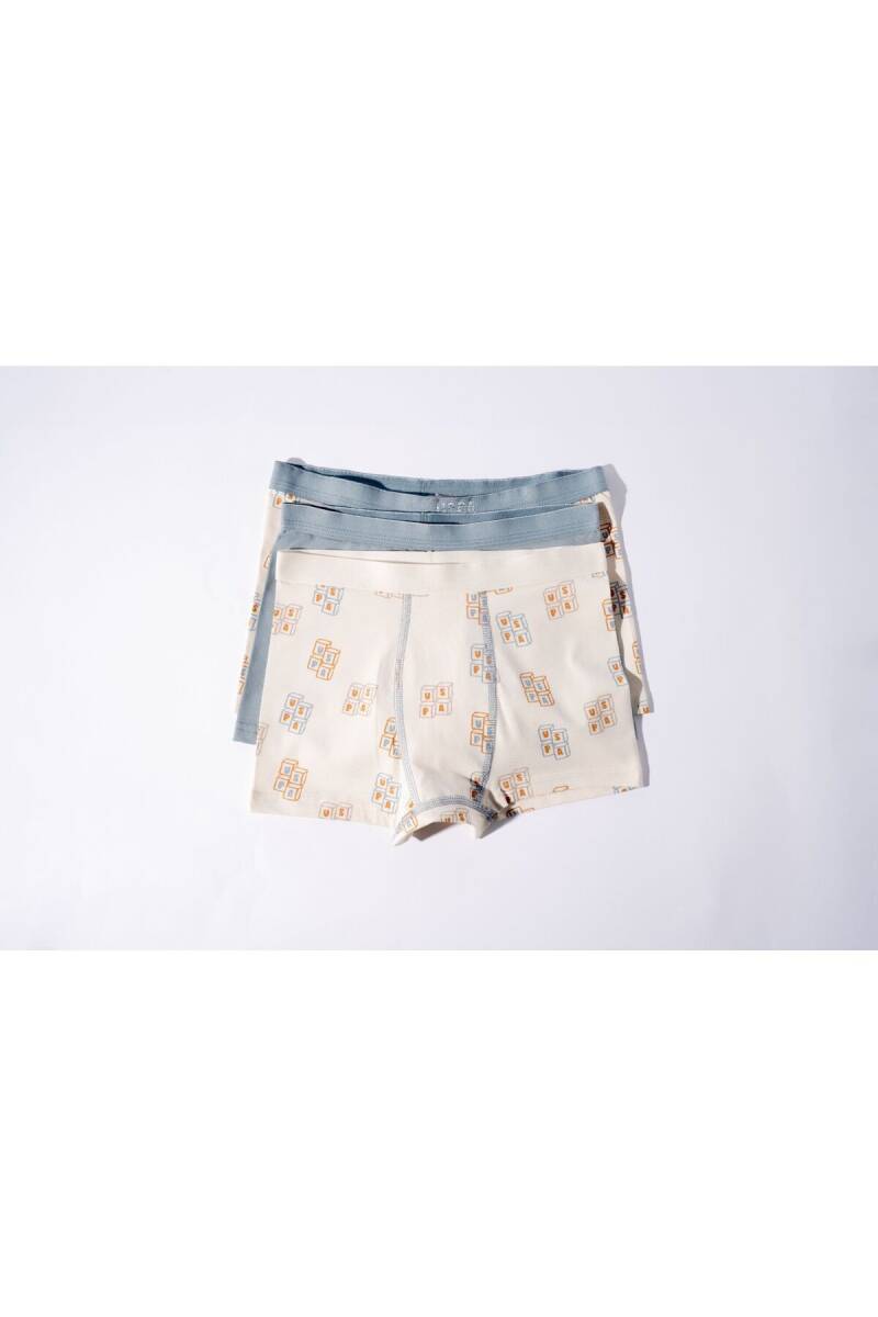 U.S. Polo Assn. Erkek Çocuk Pamuklu Kışlık Regular Fit Krem Boxer US2243-C-V1 - 5