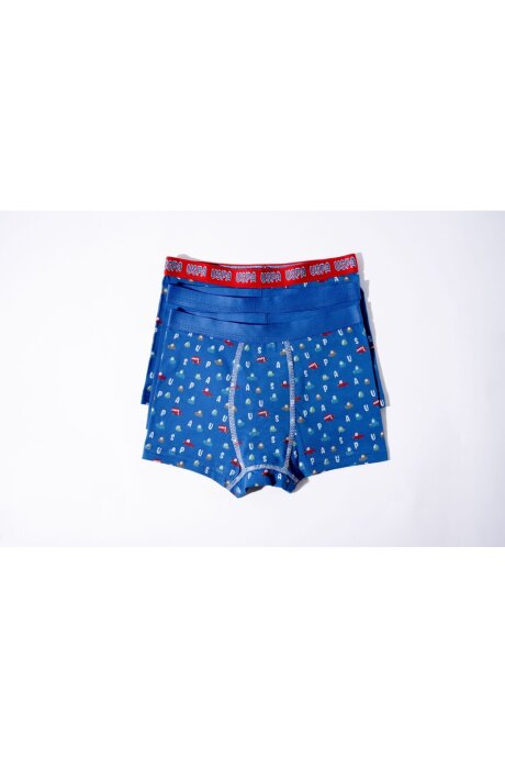 U.S. Polo Assn. Erkek Çocuk Pamuklu Kışlık Regular Fit Mavi Boxer US2247-C-V1 - 5