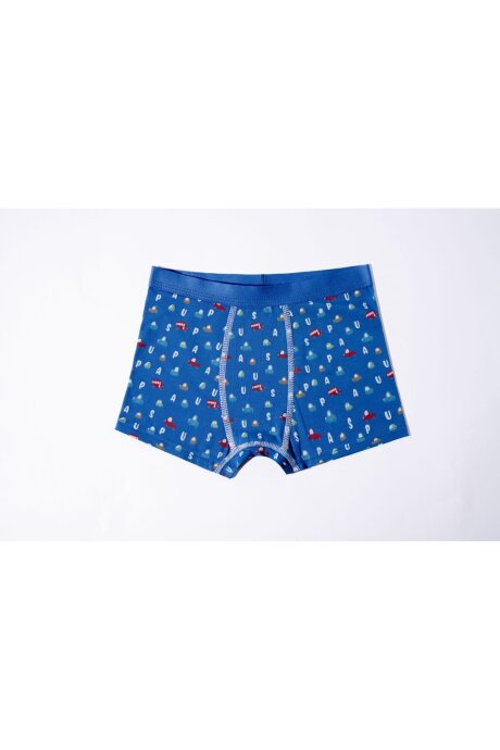 U.S. Polo Assn. Erkek Çocuk Pamuklu Kışlık Regular Fit Mavi Boxer US2247-C-V1 - 3