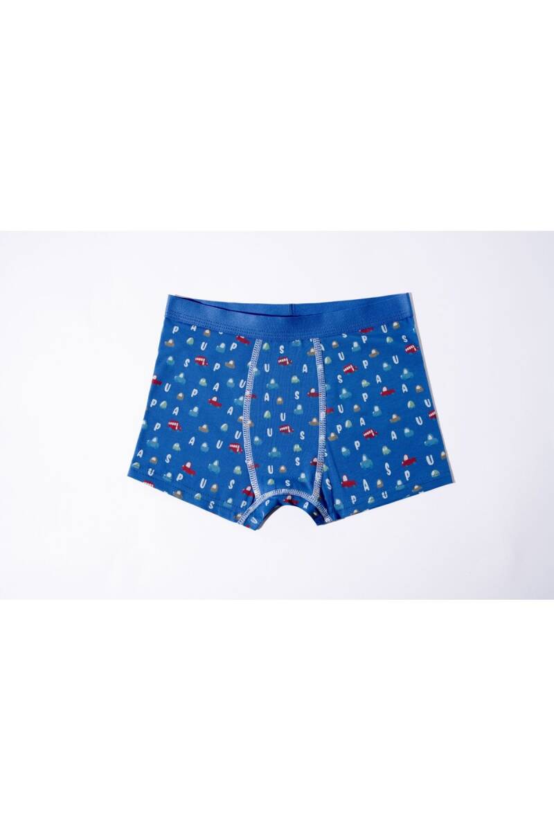 U.S. Polo Assn. Erkek Çocuk Pamuklu Kışlık Regular Fit Mavi Boxer US2247-C-V1 - 3