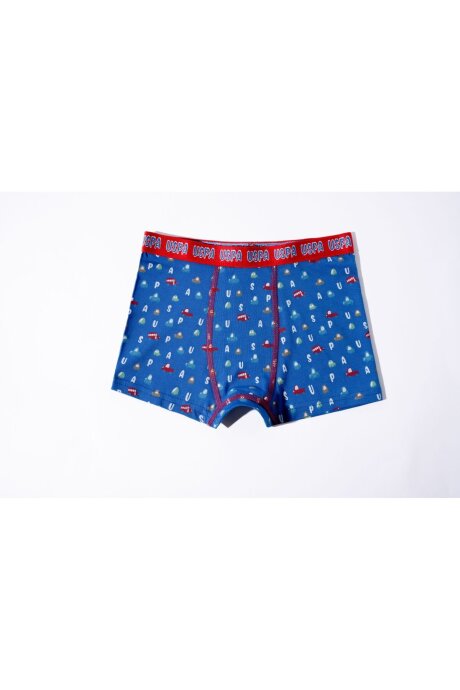 U.S. Polo Assn. Erkek Çocuk Pamuklu Kışlık Regular Fit Mavi Boxer US2247-C-V1 - 4