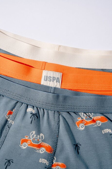 U.S. Polo Assn. Erkek Çocuk Pamuklu Kışlık Regular Fit Yeşil Boxer US2248-C-V1 - 5