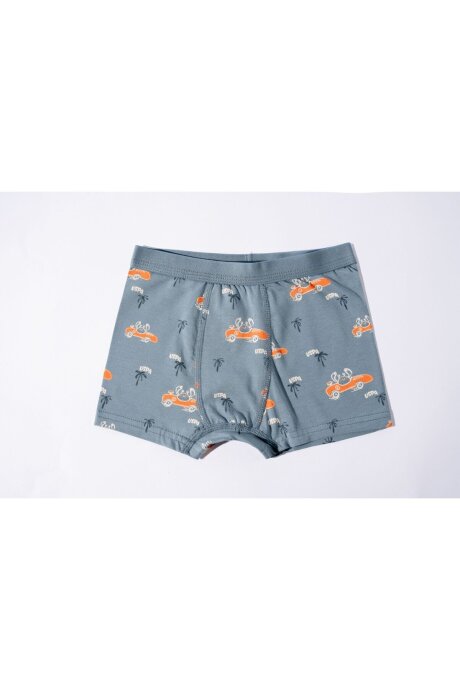 U.S. Polo Assn. Erkek Çocuk Pamuklu Kışlık Regular Fit Yeşil Boxer US2248-C-V1 (1)