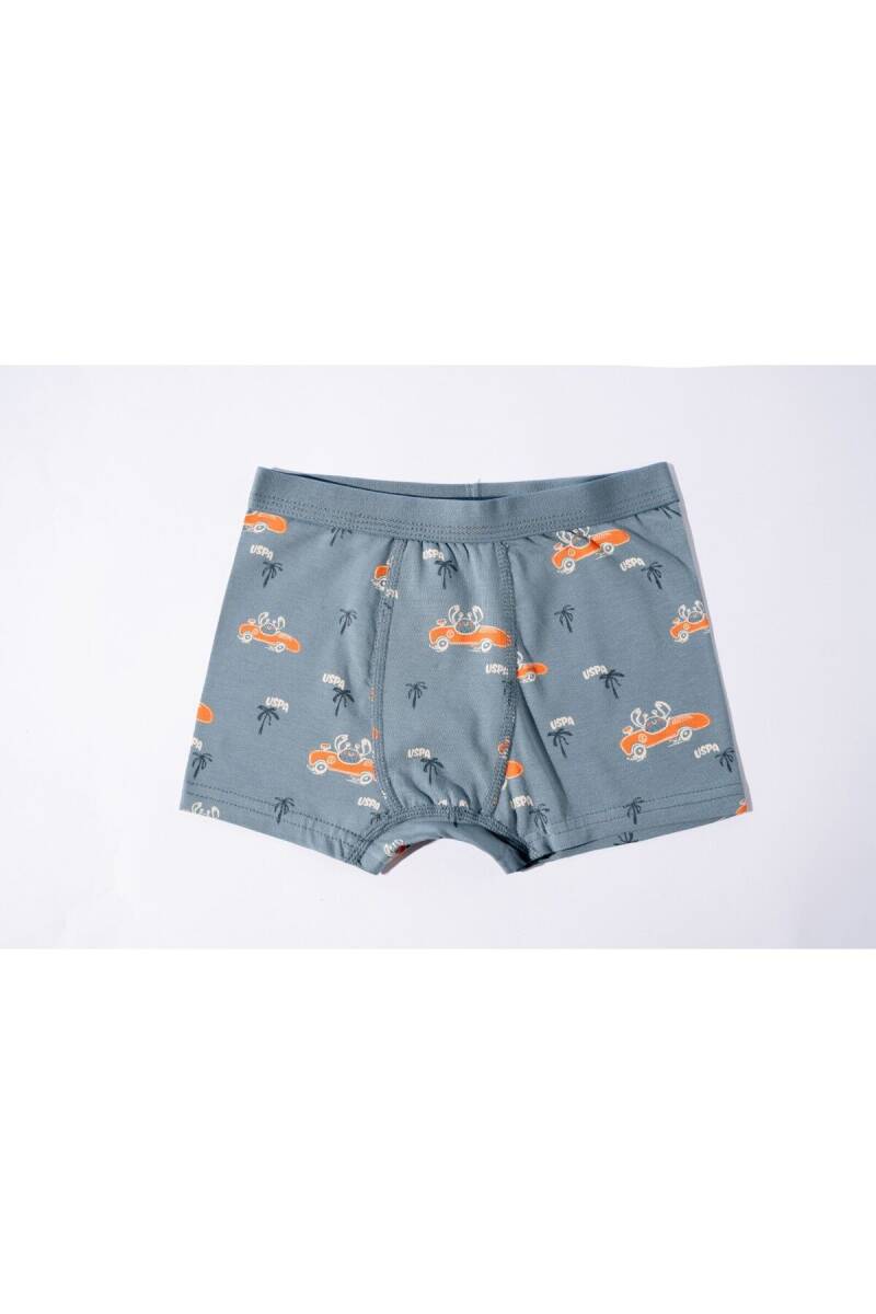 U.S. Polo Assn. Erkek Çocuk Pamuklu Kışlık Regular Fit Yeşil Boxer US2248-C-V1 - 2