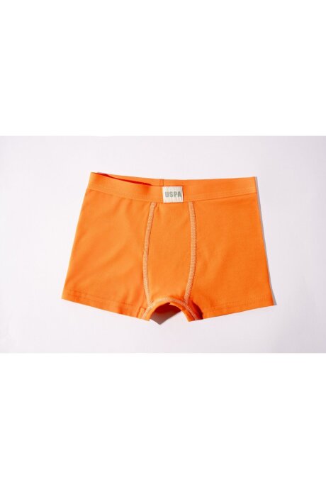 U.S. Polo Assn. Erkek Çocuk Pamuklu Kışlık Regular Fit Yeşil Boxer US2248-C-V1 - 3
