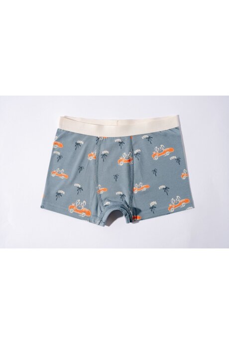 U.S. Polo Assn. Erkek Çocuk Pamuklu Kışlık Regular Fit Yeşil Boxer US2248-C-V1 - 4
