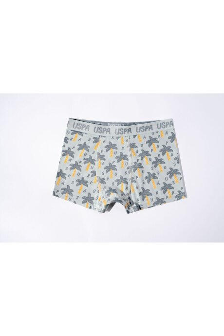 U.S. Polo Assn. Erkek Çocuk Pamuklu Kışlık Regular Fit Yeşil Boxer US2241-C-V1 (1)