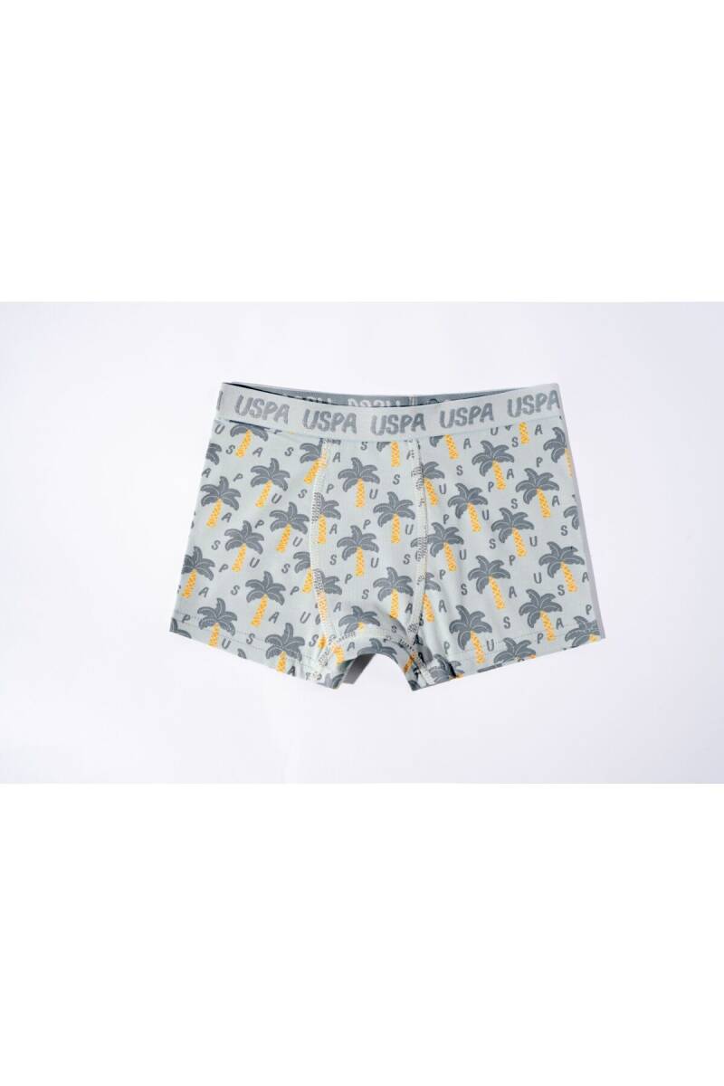 U.S. Polo Assn. Erkek Çocuk Pamuklu Kışlık Regular Fit Yeşil Boxer US2241-C-V1 - 2