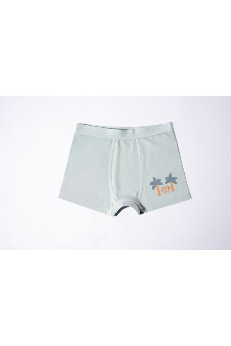 U.S. Polo Assn. Erkek Çocuk Pamuklu Kışlık Regular Fit Yeşil Boxer US2241-C-V1 - 3