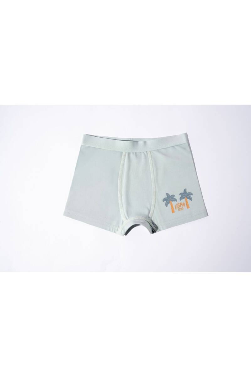 U.S. Polo Assn. Erkek Çocuk Pamuklu Kışlık Regular Fit Yeşil Boxer US2241-C-V1 - 3