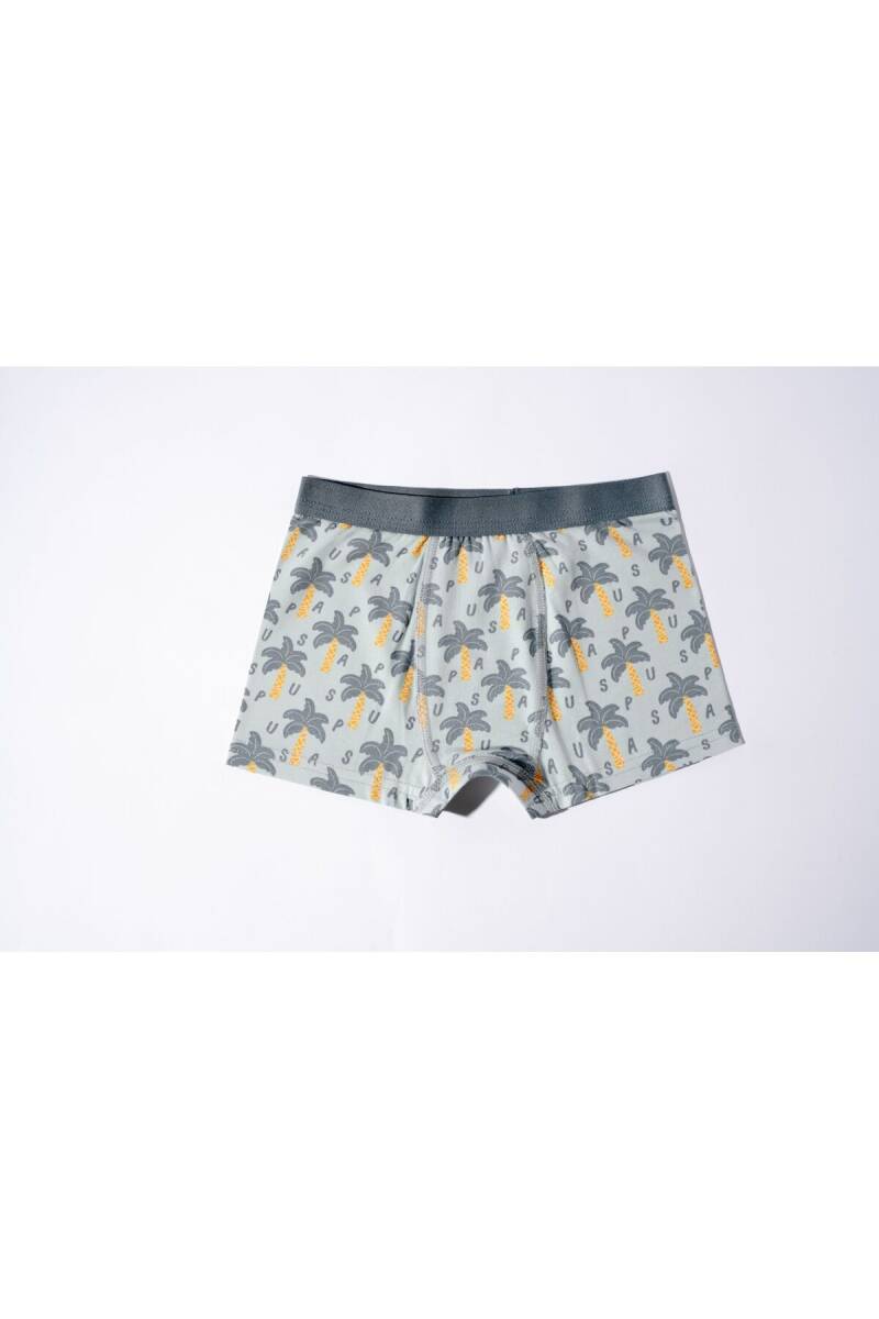 U.S. Polo Assn. Erkek Çocuk Pamuklu Kışlık Regular Fit Yeşil Boxer US2241-C-V1 - 4