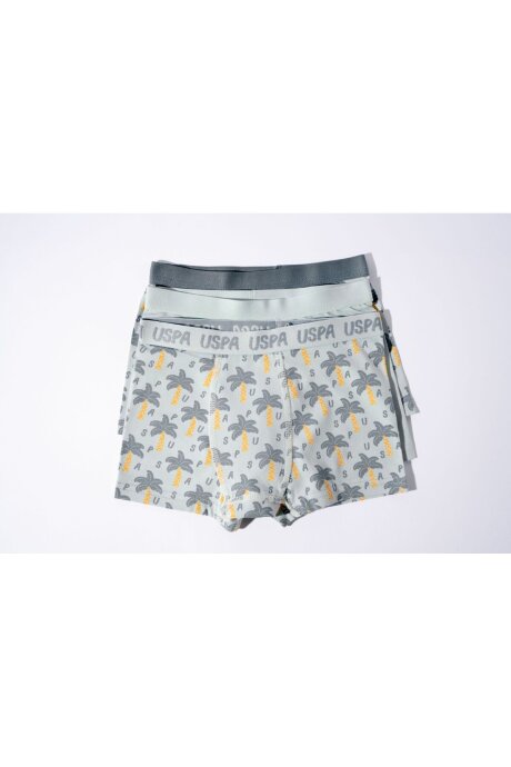 U.S. Polo Assn. Erkek Çocuk Pamuklu Kışlık Regular Fit Yeşil Boxer US2241-C-V1 - 5