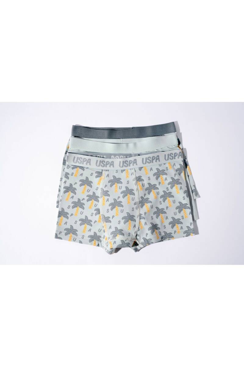 U.S. Polo Assn. Erkek Çocuk Pamuklu Kışlık Regular Fit Yeşil Boxer US2241-C-V1 - 5