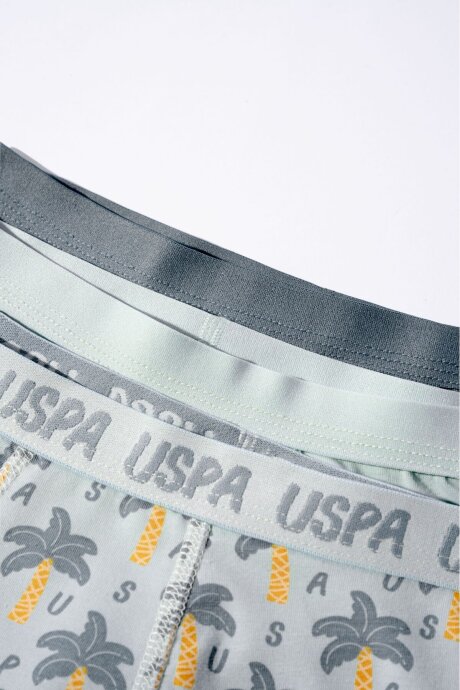 U.S. Polo Assn. Erkek Çocuk Pamuklu Kışlık Regular Fit Yeşil Boxer US2241-C-V1 - 6